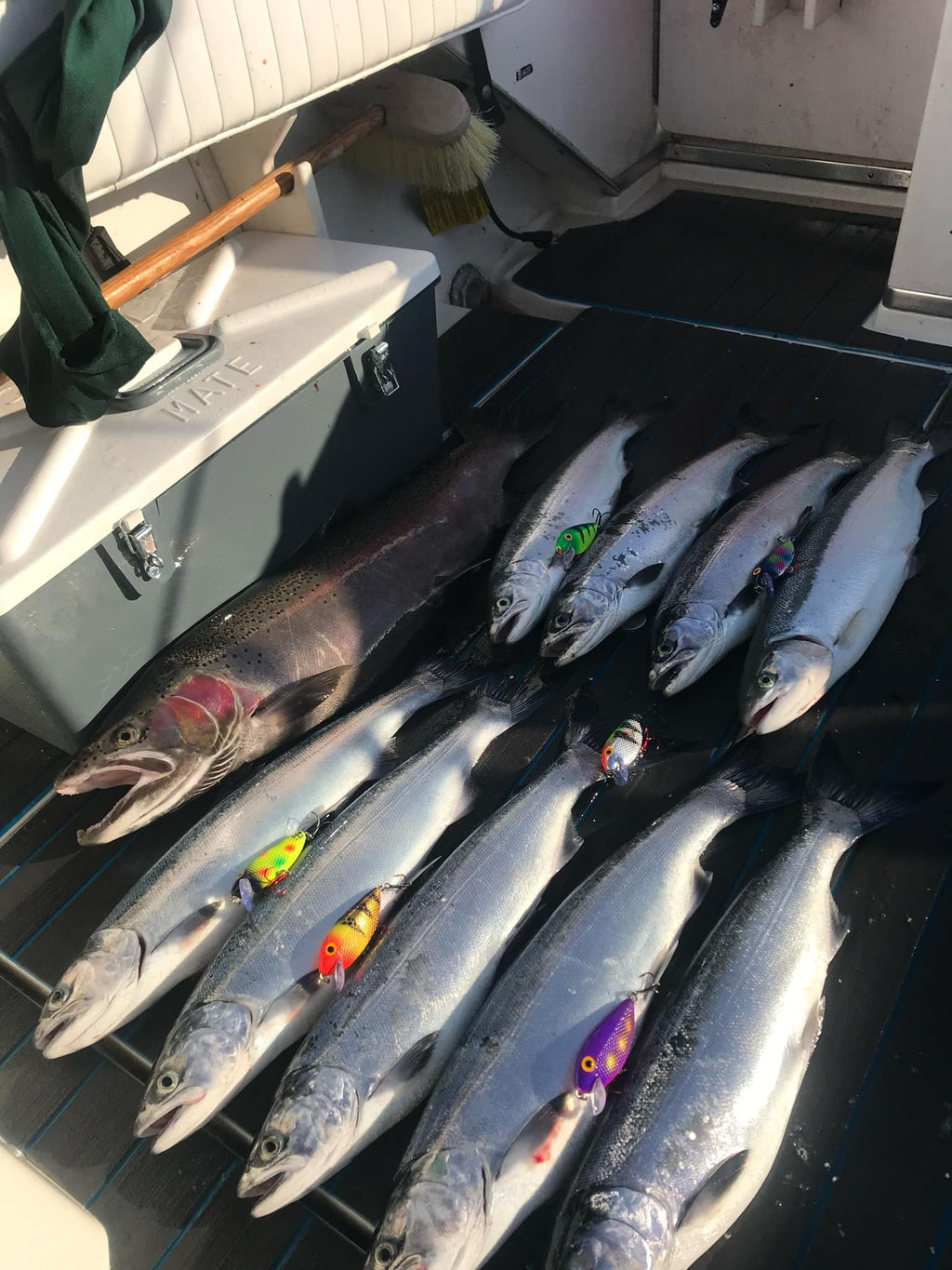 Killer Fish - Rattling Shallow Diver UV