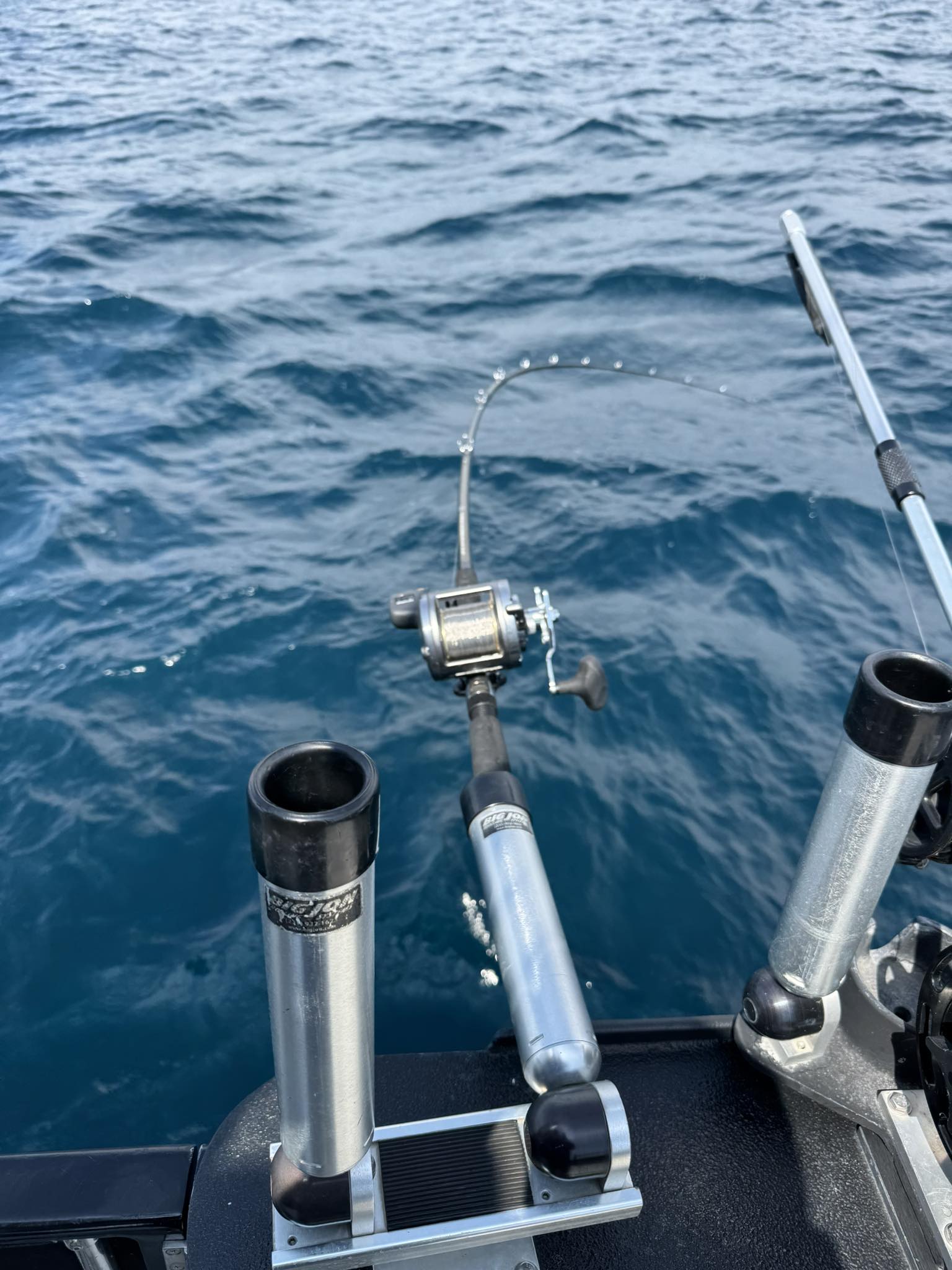 Ice Strong Outdoors - Manasseh -Diver Rods Roller Tip / Regular Tip